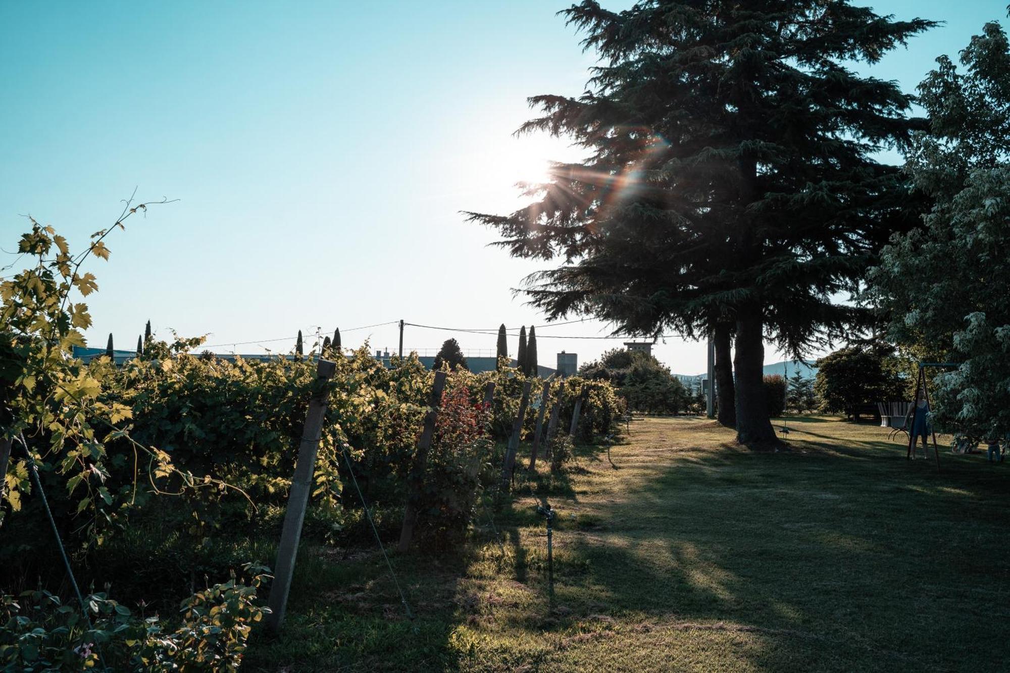 Agriturismo Corte Patrizia Caprino Veronese Exterior foto